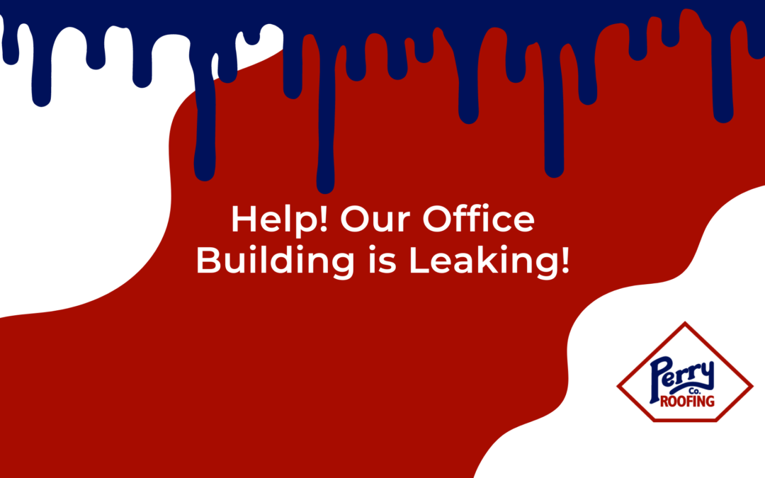 office roof leak, office building, leaking roof, roof damage, commercial roofer, roof repair, roof replacement, northwest arkansas